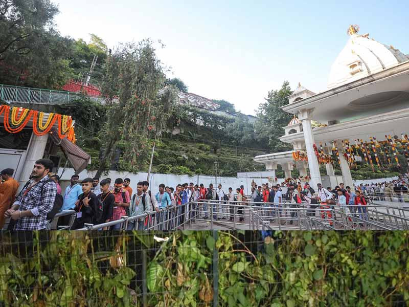  />
					</a>
					<a class=