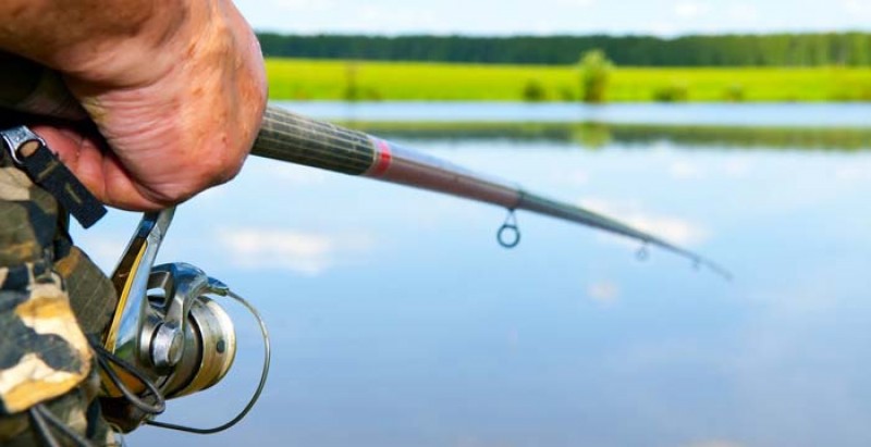  />
					</a>
					<a class=